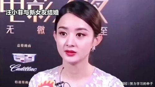 娛樂八卦吃瓜趙麗穎視頻在線觀看,揭秘幕后故事，帶你領(lǐng)略明星風(fēng)采