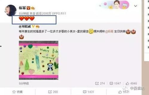 娛樂吃瓜醬生日,生日快樂，揭秘這位娛樂圈“瓜王”的獨家魅力