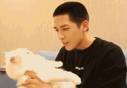 王安宇娛樂吃瓜,幕后故事與精彩瞬間