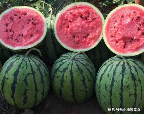 笑不活了娛樂(lè)吃瓜醬,笑不活了！娛樂(lè)吃瓜醬帶你揭秘娛樂(lè)圈那些鮮為人知的幕后故事