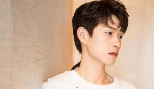 吃瓜娛樂圈任豪,娛樂圈的瓜田新秀，星光璀璨的蛻變之路