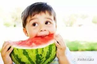 娛樂(lè)吃瓜君說(shuō)二豆,二豆背后的故事與真相