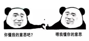 好哥吃瓜娛樂(lè),揭秘娛樂(lè)圈幕后故事