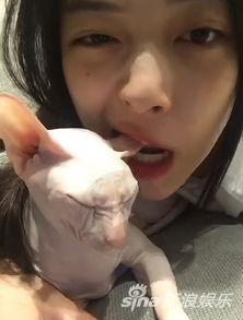 娛樂吃瓜醬虐貓博主,揭秘網(wǎng)絡(luò)暴力背后的真相