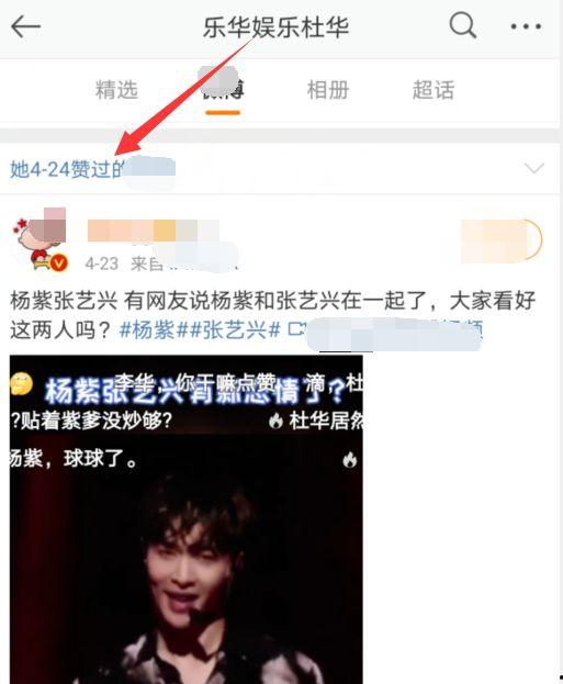娛樂(lè)吃瓜視頻模板,明星幕后故事大揭秘，吃瓜群眾必看！