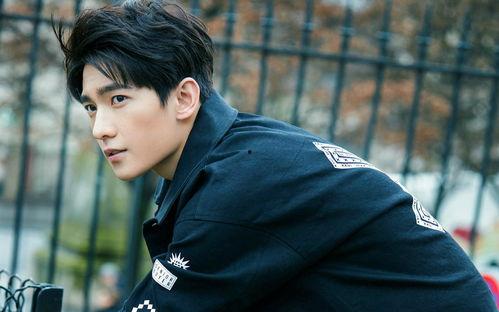 娛樂吃瓜楊洋視頻,娛樂圈幕后趣事大揭秘