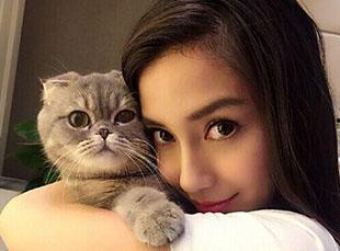 娛樂圈貓貓吃瓜圖片,萌態(tài)十足揭秘明星幕后趣聞