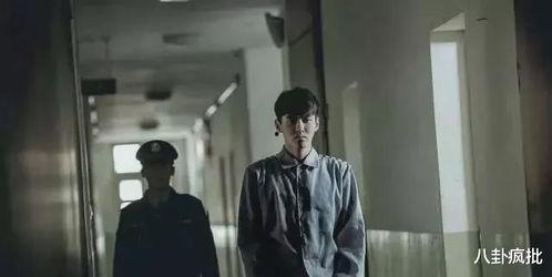 博士吃瓜娛樂圈,揭秘娛樂圈背后的秘密與真相