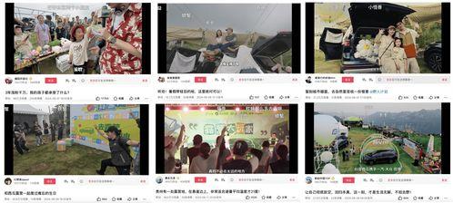 娛樂吃瓜視頻剪映下載,輕松下載娛樂視頻，暢享追劇樂趣