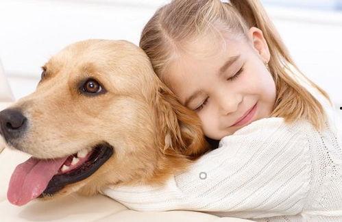 娛樂吃瓜寵物推薦,盤點(diǎn)那些愛看熱鬧的萌寵