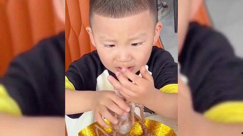 娛樂吃瓜醬小男孩,揭秘娛樂圈背后的故事