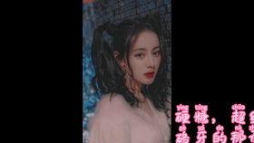 吃瓜小說娛樂圈完結(jié)文,瓜田里的甜蜜復(fù)仇