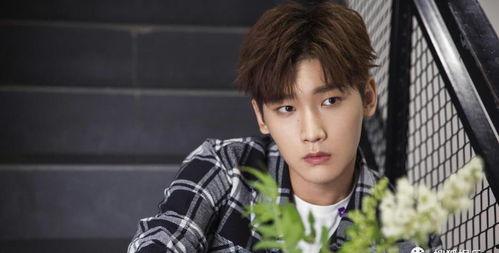 娛樂圈吃瓜爆料檀健次,揭秘明星背后的真相