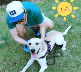 娛樂圈吃瓜小狗小說免費閱讀,吃瓜小狗的甜蜜復(fù)仇之旅