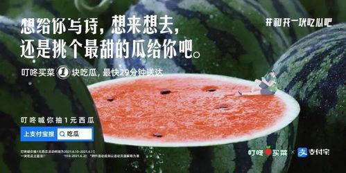 娛樂吃瓜的文案,吃瓜群眾必備的幕后花絮大匯總