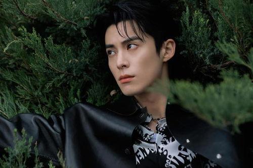 娛樂圈吃瓜爆料王鶴棣劉亦菲,娛樂圈吃瓜爆料再掀熱潮