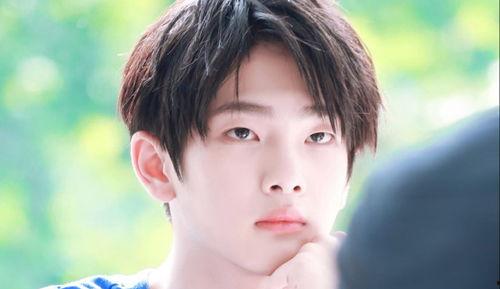 娛樂吃瓜小將王惠小說,娛樂圈的吃瓜小將，揭秘明星背后的故事