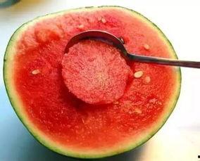 娛樂吃瓜醬美玉,揭秘美玉背后的故事與魅力