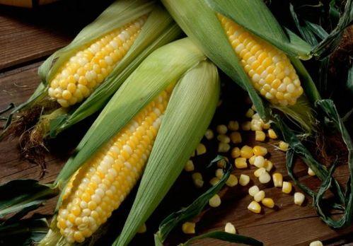 娛樂(lè)吃瓜醬玉米,揭秘娛樂(lè)圈那些鮮為人知的幕后故事