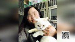 娛樂吃瓜醬小貓坐公交車,萌寵坐公交，趣味橫生一幕