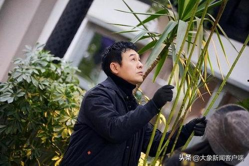 娛樂吃瓜醬張頌文,娛樂吃瓜醬的幕后故事