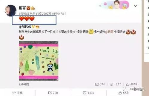 娛樂吃瓜醬過生日,星光熠熠，歡樂滿溢