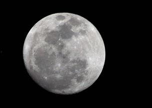 月亮吃瓜娛樂說,揭秘娛樂圈幕后故事