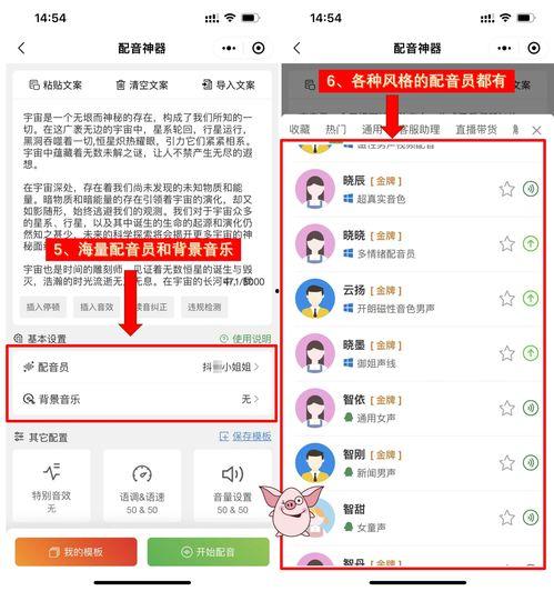 娛樂吃瓜音效軟件哪個好,哪個是你的最佳選擇？