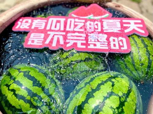 娛樂場所日常吃瓜,揭秘日常吃瓜背后的故事與真相