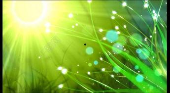 娛樂(lè)吃瓜視頻背景素材