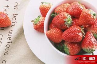 娛樂吃瓜醬草莓視頻下載,娛樂吃瓜醬帶你輕松獲取熱門娛樂內(nèi)容