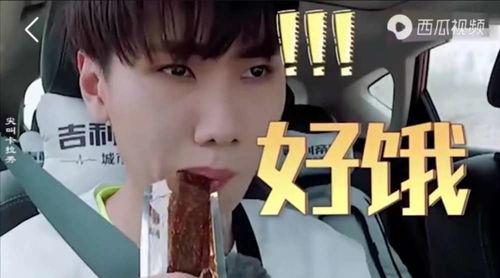 愛豆吃瓜娛樂醬肖宇梁,愛豆吃瓜娛樂醬，揭秘娛樂圈幕后故事