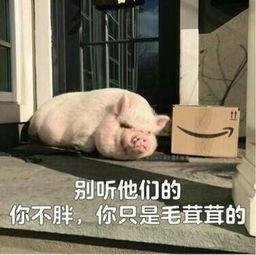 娛樂吃瓜醬豬豬視頻下載,揭秘?zé)衢T娛樂內(nèi)容獲取新方式