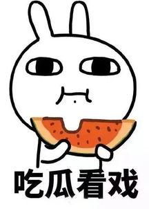 娛樂吃瓜醬做什么會加分,解鎖加分技能，輕松成為圈粉達(dá)人