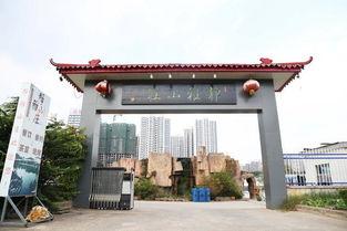 娛樂吃瓜醬臨沂大學(xué),娛樂吃瓜醬背后的故事