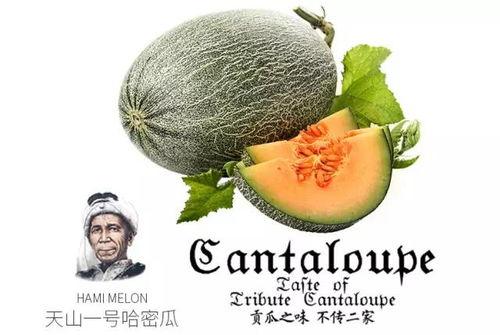 娛樂(lè)吃瓜配樂(lè)推薦一下,盤(pán)點(diǎn)熱門(mén)配樂(lè)推薦