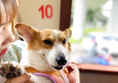 熱門八卦?shī)蕵?lè)吃瓜搞笑,笑料百出，八卦連連，揭秘明星幕后趣事