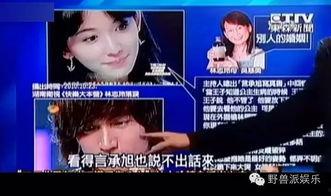 娛樂吃瓜蜀黍廣告視頻在線觀看,揭秘?zé)衢T廣告視頻，帶你領(lǐng)略網(wǎng)絡(luò)娛樂新風(fēng)尚