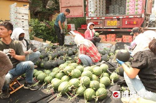 湖南娛樂吃瓜在一線,揭秘娛樂圈背后的故事