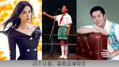 娛樂圈吃瓜成功的小說,從吃瓜小白到瓜王逆襲之路